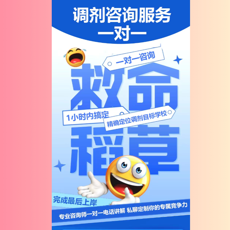 救命稻草一对一考研调剂